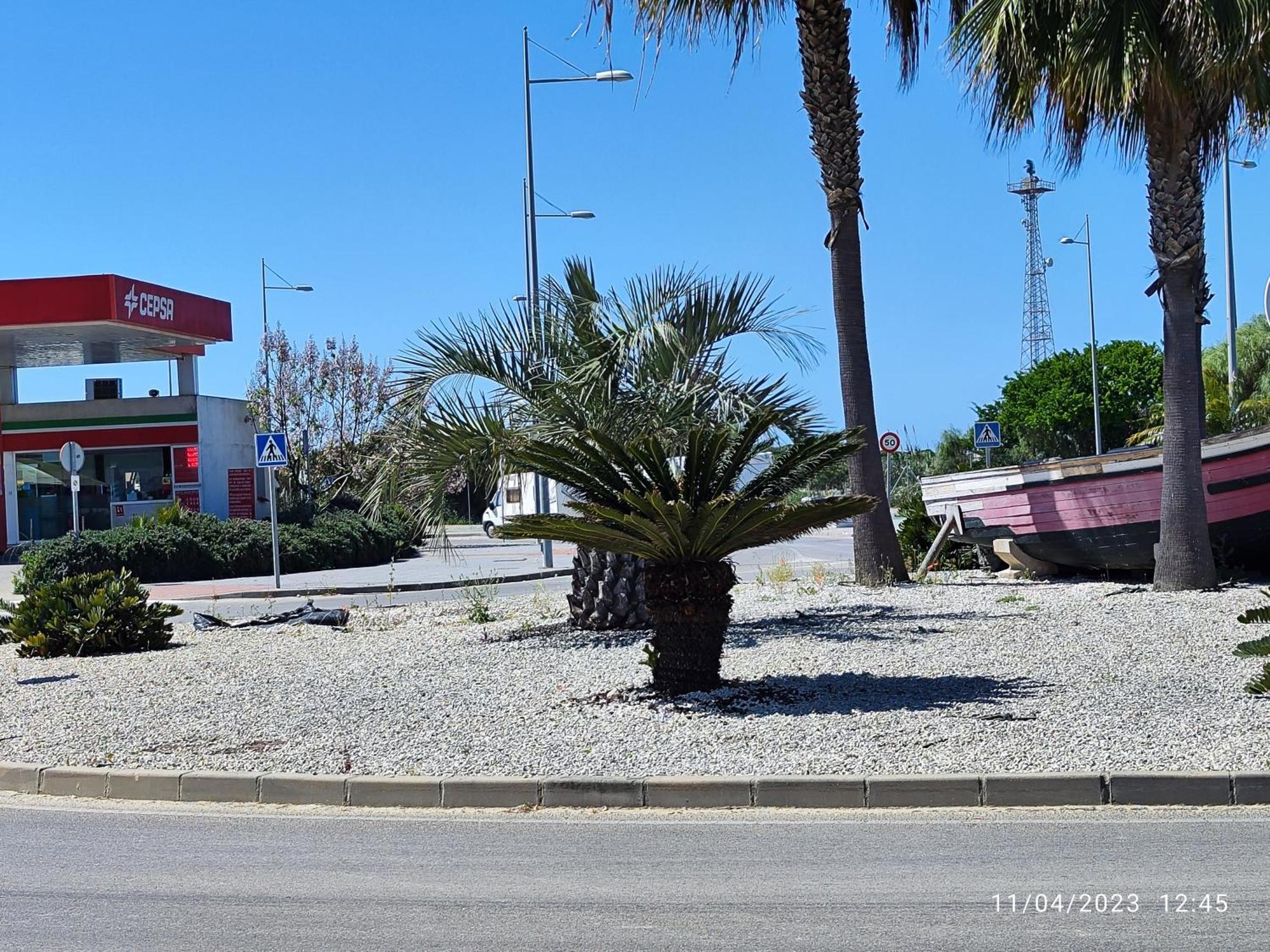 Rota Punta Candor Terrace Playa 3 Bajo C المظهر الخارجي الصورة